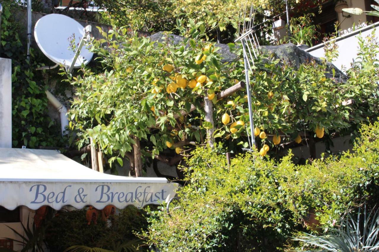 Bed & Breakfast Casa Anna Rita Виетри Экстерьер фото